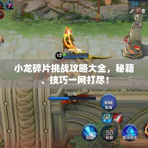 小龙碎片挑战攻略大全，秘籍、技巧一网打尽！