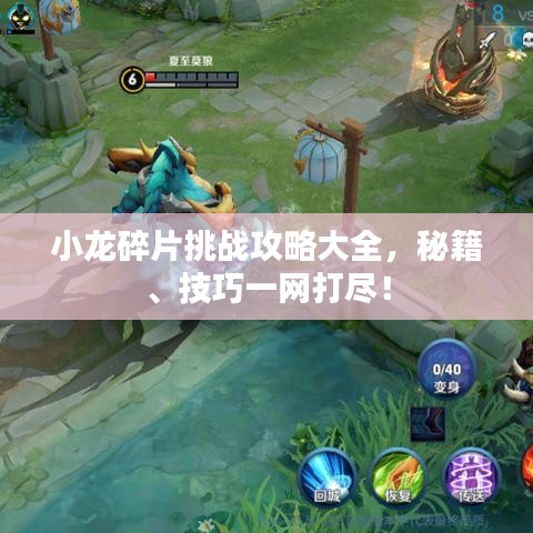 小龙碎片挑战攻略大全,秘籍、技巧一网打尽!