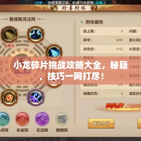 小龙碎片挑战攻略大全,秘籍、技巧一网打尽!
