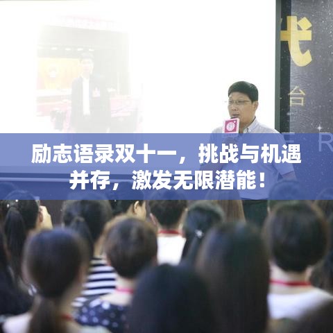 励志语录双十一,挑战与机遇并存,激发无限潜能!