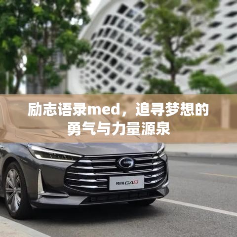 鸟之将死 第3页