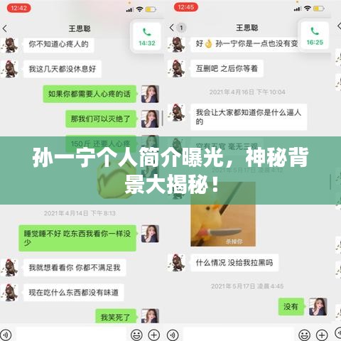 孙一宁个人简介曝光,神秘背景大揭秘!