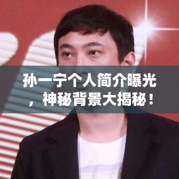 孙一宁个人简介曝光,神秘背景大揭秘!