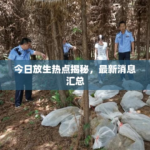 飞红滴翠 第3页