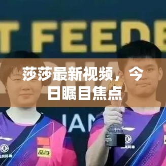 莎莎最新视频,今日瞩目焦点
