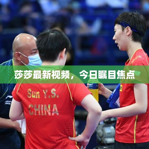 莎莎最新视频,今日瞩目焦点