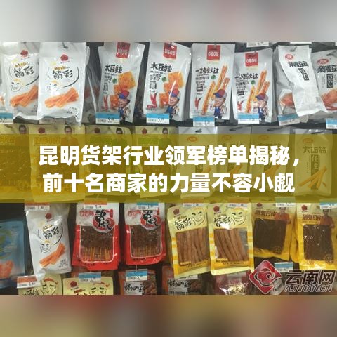 昆明货架行业领军榜单揭秘，前十名商家的力量不容小觑