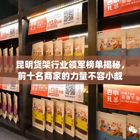 昆明货架行业领军榜单揭秘,前十名商家的力量不容小觑