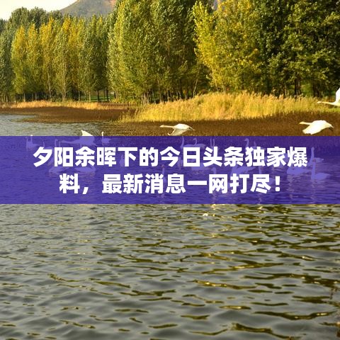 夕阳余晖下的今日头条独家爆料,最新消息一网打尽!