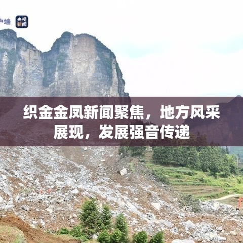 织金金凤新闻聚焦,地方风采展现,发展强音传递