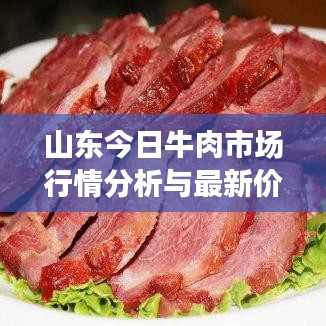 山东今日牛肉市场行情分析与最新价格解读