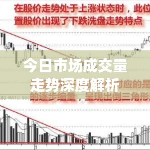 今日市场成交量走势深度解析