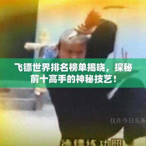 飞镖世界排名榜单揭晓,探秘前十高手的神秘技艺!
