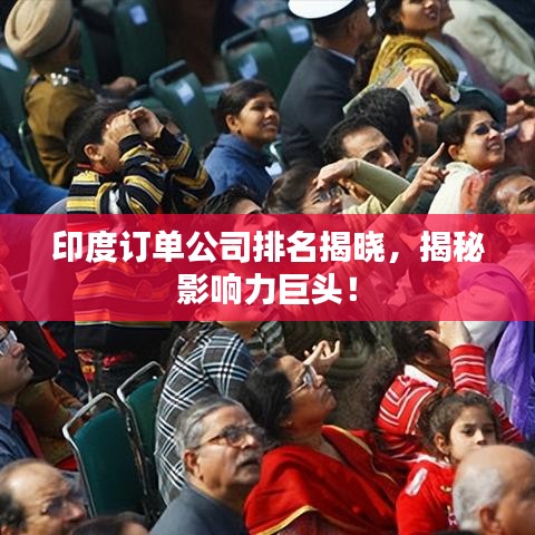 印度订单公司排名揭晓,揭秘影响力巨头!