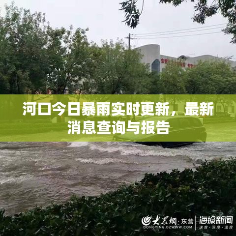河口今日暴雨实时更新，最新消息查询与报告