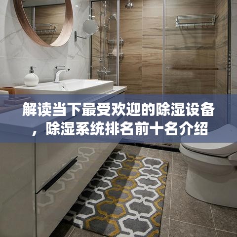 解读当下最受欢迎的除湿设备，除湿系统排名前十名介绍