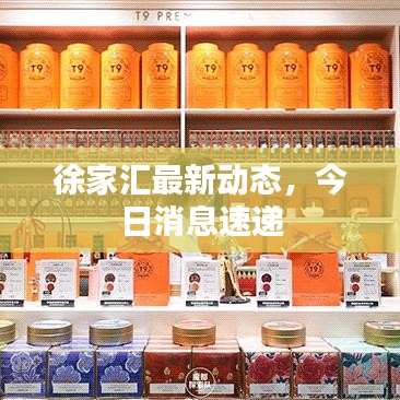 徐家汇最新动态,今日消息速递