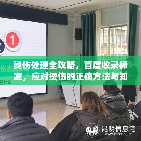 烫伤处理全攻略，百度收录标准，应对烫伤的正确方法与知识