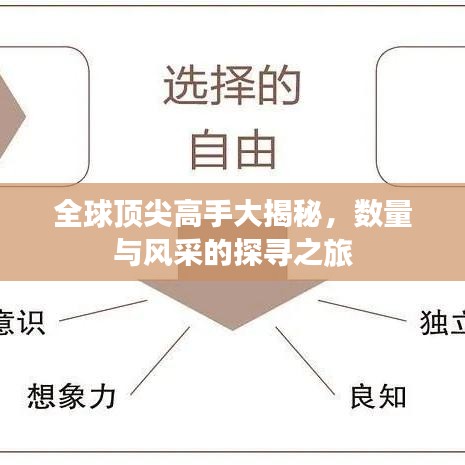 全球顶尖高手大揭秘,数量与风采的探寻之旅