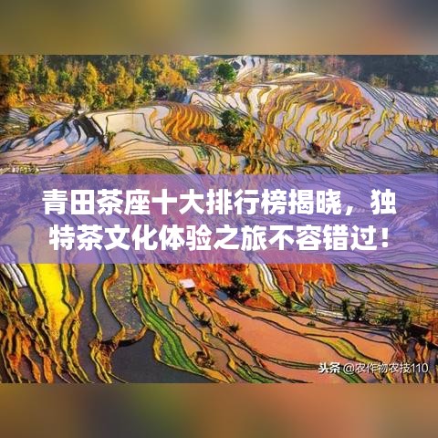 不翼而飞 第3页