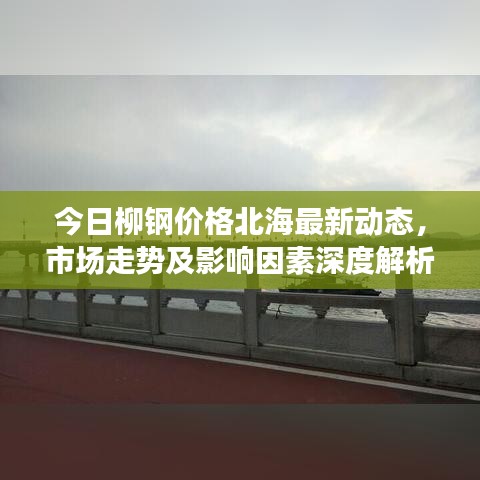 今日柳钢价格北海最新动态,市场走势及影响因素深度解析