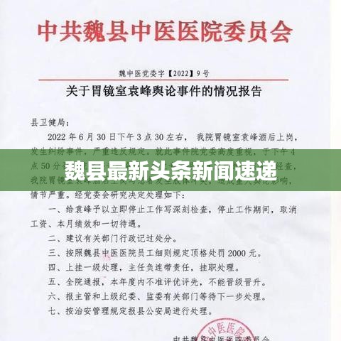 魏县最新头条新闻速递