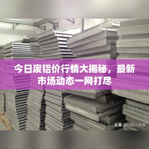 今日废铝价行情大揭秘,最新市场动态一网打尽