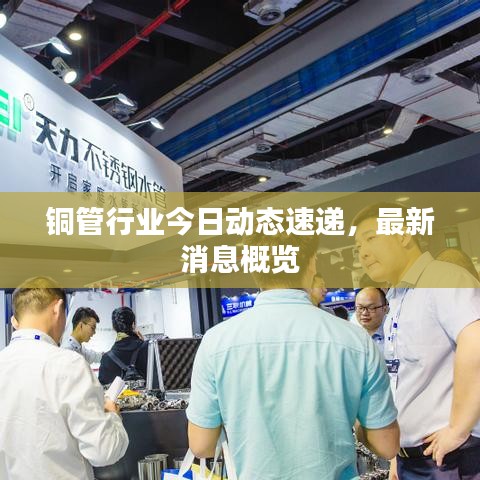 铜管行业今日动态速递，最新消息概览