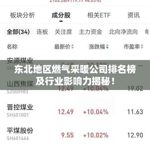 东北地区燃气采暖公司排名榜及行业影响力揭秘!