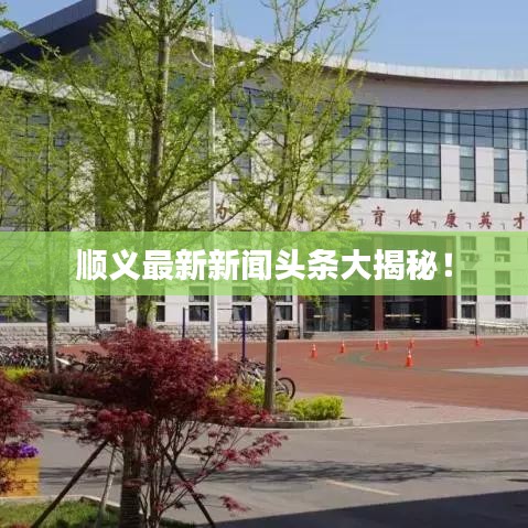 顺义最新新闻头条大揭秘！