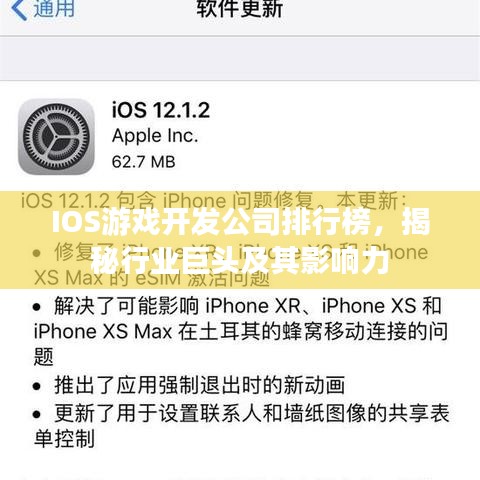 IOS游戏开发公司排行榜,揭秘行业巨头及其影响力