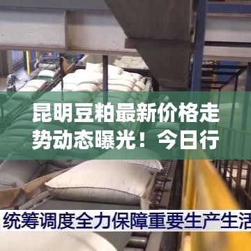 昆明豆粕最新价格走势动态曝光!今日行情揭秘