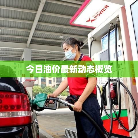 今日油价最新动态概览