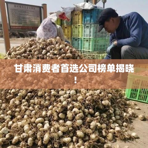 甘肃消费者首选公司榜单揭晓!