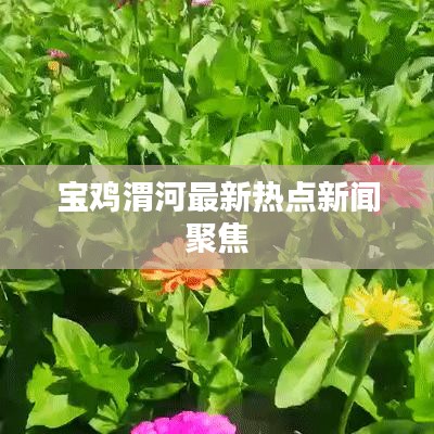 宝鸡渭河最新热点新闻聚焦