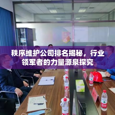 秩序维护公司排名揭秘，行业领军者的力量源泉探究