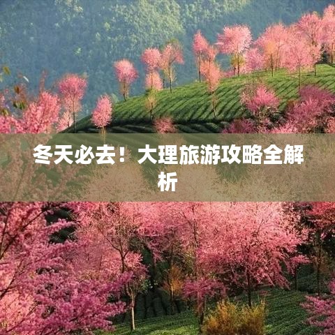 冬天必去！大理旅游攻略全解析