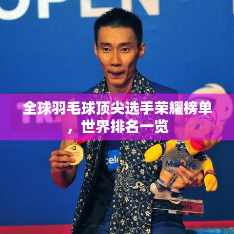 全球羽毛球顶尖选手荣耀榜单，世界排名一览
