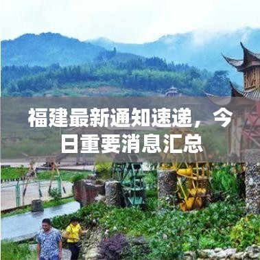 福建最新通知速递，今日重要消息汇总