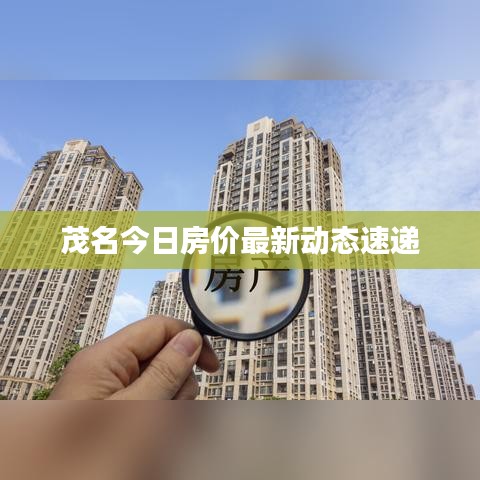 茂名今日房价最新动态速递