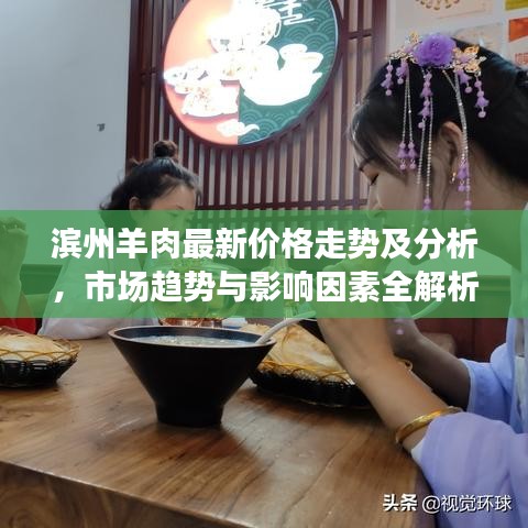 滨州羊肉最新价格走势及分析，市场趋势与影响因素全解析