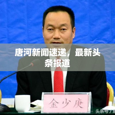 唐河新闻速递,最新头条报道
