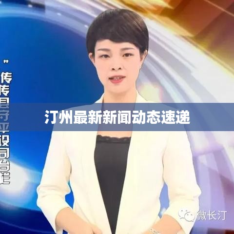 汀州最新新闻动态速递