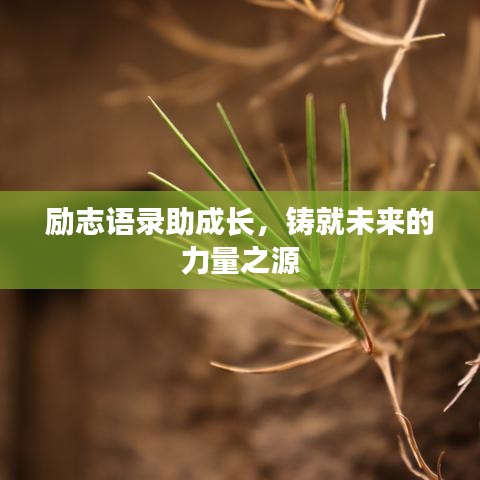 励志语录助成长,铸就未来的力量之源