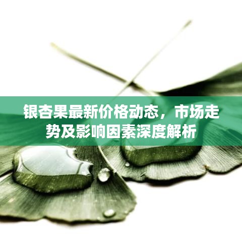 银杏果最新价格动态,市场走势及影响因素深度解析
