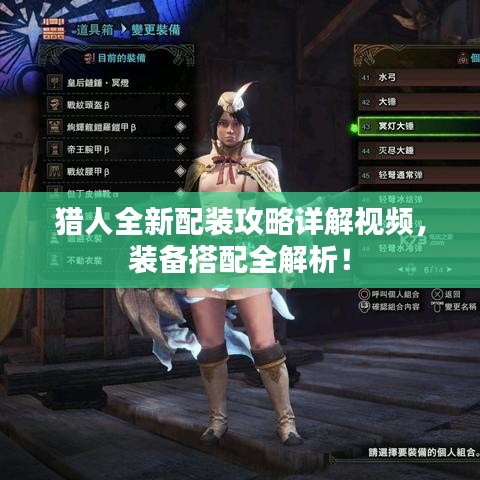 猎人全新配装攻略详解视频，装备搭配全解析！