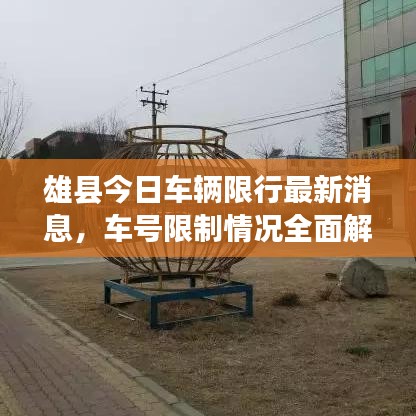 雄县今日车辆限行最新消息,车号限制情况全面解析