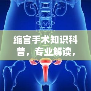 缩宫手术知识科普，专业解读，为您解答疑惑