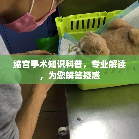 缩宫手术知识科普,专业解读,为您解答疑惑