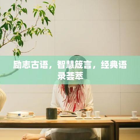 破马张飞 第4页